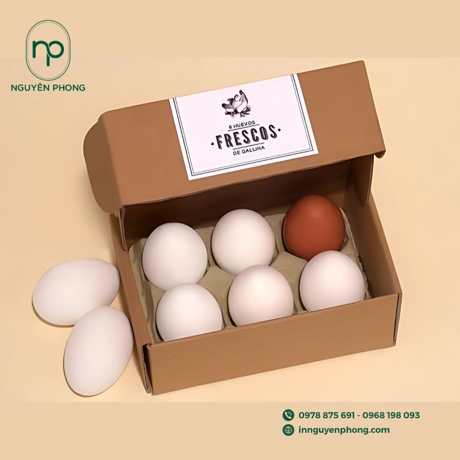 in-hop-carton-dung-trung-gia-re-tai-ha-noi